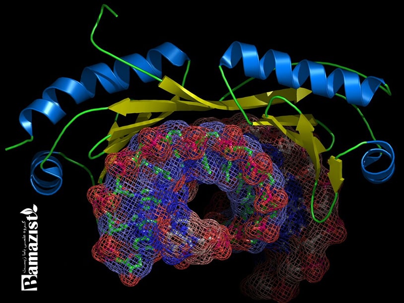 استفاده از نرم افزار pymol در مدل سازی مولکولی