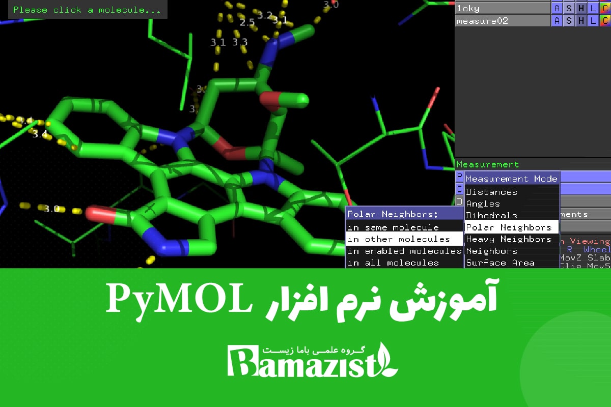 دوره آموزش نرم افزار پایمول