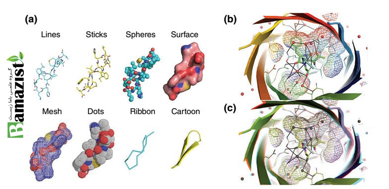 نرم افزار پایمول (PyMOL) در تصویرسازی ملکولی